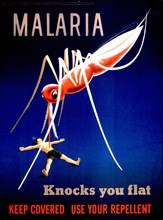 Mid- 1900s - Malaria knocks you flat