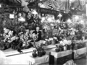 Photograph of an Attractive Flower Stand in Center Market 1915.