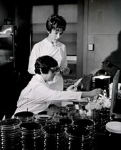 Two female medical technicians