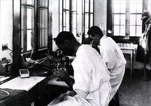 Two lab workers peering through microscopes 1914-1920.