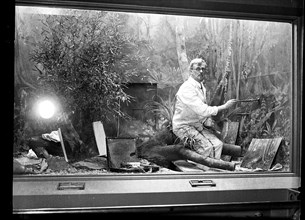 Man working in museum display