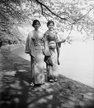 Japanese women and cherry blossoms