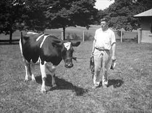 Man and cow standing in a field