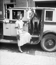 Woman with donkey in automobile