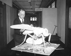 Man with insect model