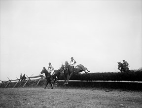 Horses jumping over hedges