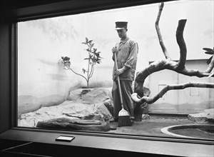 Man with broom in snake exhibit