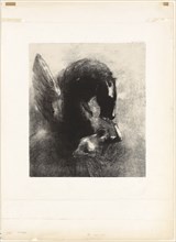 Captive Pegasus - 1889