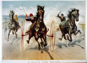19th century equine illustration