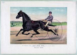 Horse Racing Illustrations