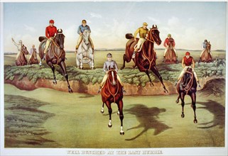 19th Century Equine Lithograph