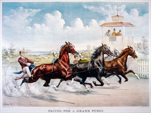 19th Century Horse Racing Illustrations