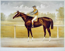 The racing King Salvator by Prince Charlie