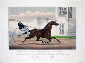 Horse Racing History