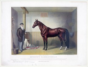 19th Century Equine Art