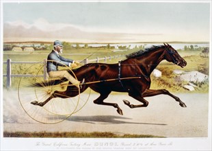 The grand California trotting mare Sunol at three years old by Electioneer