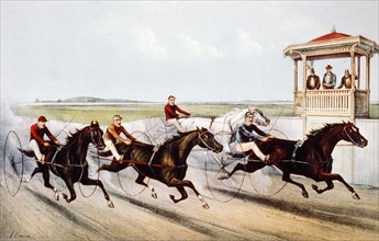 Horse Racing Prints