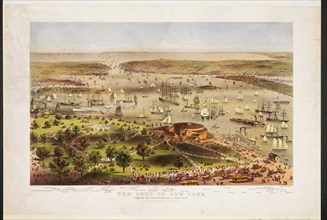 19th Century Port of New York Illustration