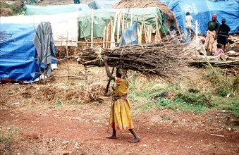 Female refugee carrying a bundle of twigs