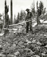Worker-forest Service