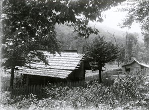 Occupied homestead on Forest Bureau land in early 1900s