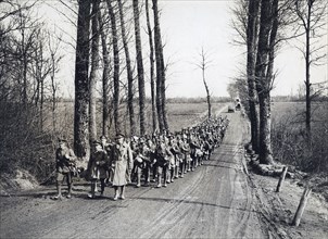 Historical WW I Photos