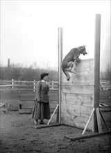 Woman watching dog climb over wooden wall ca. 1909