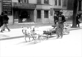 African American man with a goat drawn cart ca. 1910