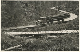 Truck loaded with logs on logging road in British Columbia