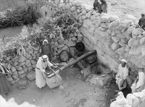 Men crushing and pressing olives in an olive press. Method of weighting the press. Great pressure realised by means of leverage ca. 1920