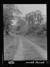 1930s Uganda.  From Hoima to Fort Portal. Scene along Fort Portal Road, an adult walking away from camera carrying goods on their head and a child in the road ca. 1936