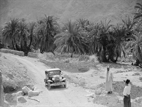 An oasis near Sinai desert, driving by car through a desert oasis ca. 1920