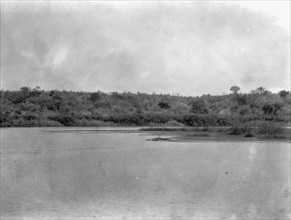 Uganda. Victoria Nile. Crocodile bank below the falls ca. 1936