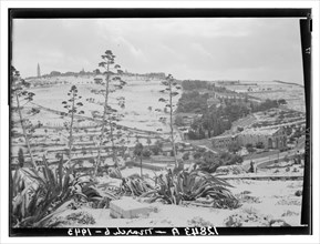 Middle East Snow scene of Olivet with century plants March 6, 1943