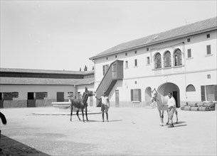 Men working on the government stud farm in Acre, Israel. A courtyard of horse stables ca. 1940