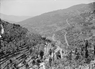 Typical terraced hillsides in Lebanon ca. 1920