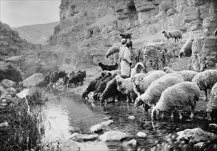 Image of shepherd life, shepherds and their sheep, illustrating the Twenty Third Psalm ca. 1900