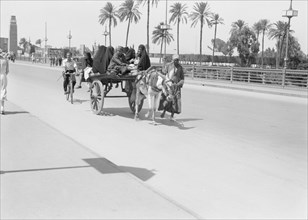Native cart carrying passengers in Cairo Egypt ca. between 1934 and 1939