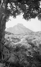 Cyprus. Kyoenia. Hill on top of which is St. Hilarion Castle. Closer view ca. 1945