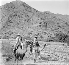 Two men on camels in the Sinai Mountains ca. between 1898 and 1946