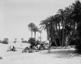 Caravan of men and camels at el-Wad in Sinai, preparing to cross the desert ca. between 1898 and 1914