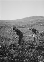 Man and woman plowing land by hand in Israel ca. 1900
