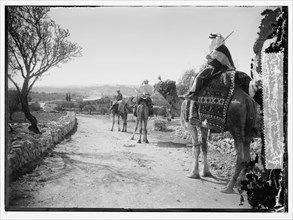 Three camel men approaching Bethlehem seen in distance ca. between 1898 and 1946