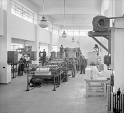 Workers standing by printing presses at the Government Printing Office ca. between 1937 and 1946