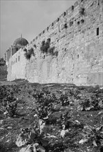 The city wall in Jerusalem, the Triple Gate. ca. 1900