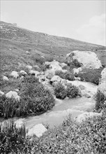 Rushing waters of Hesbon, east of the Jordan River and the Dead Sea ca. 1900