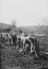 Men and women working in a Jewish settlment ca. 1920