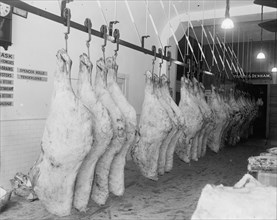 Sides of beef in freezer at a meat locker (Hoover & Denham) ca.  between 1910 and 1935