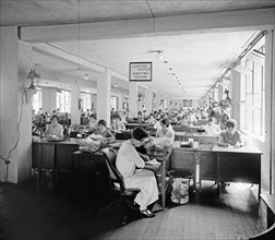 Women working in the computing division, soldier's bonus department ca.  between 1910 and 1935