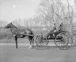 Man driving a horse and carriage ca.  between 1910 and 1925